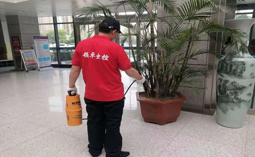 工廠滅螞蟻